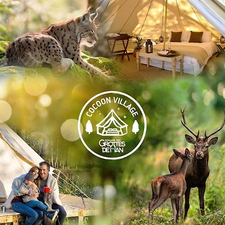 Cocoon Village - Glamping - Domaine Des Grottes De Han Rochefort Zewnętrze zdjęcie