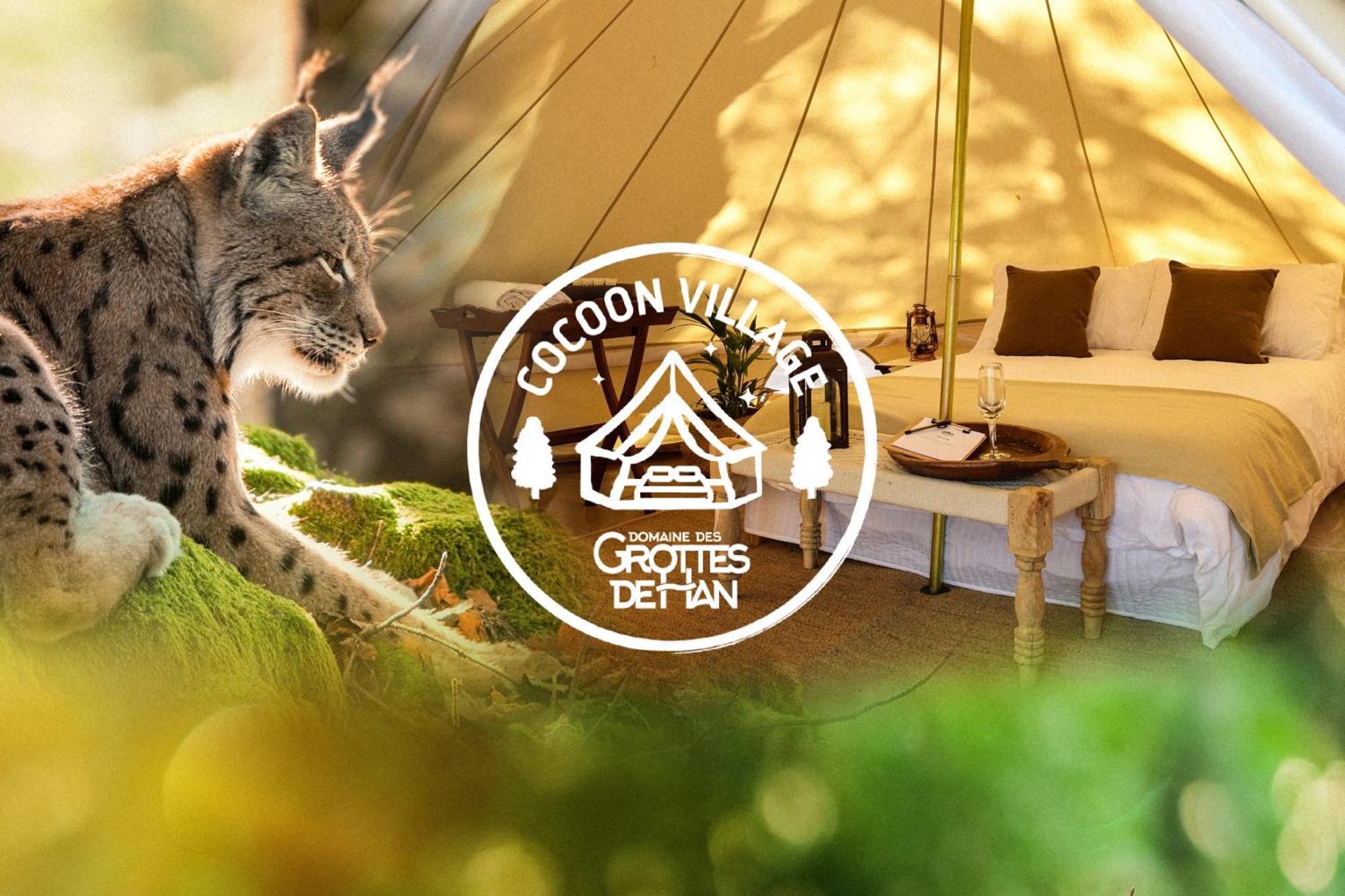 Cocoon Village - Glamping - Domaine Des Grottes De Han Rochefort Zewnętrze zdjęcie