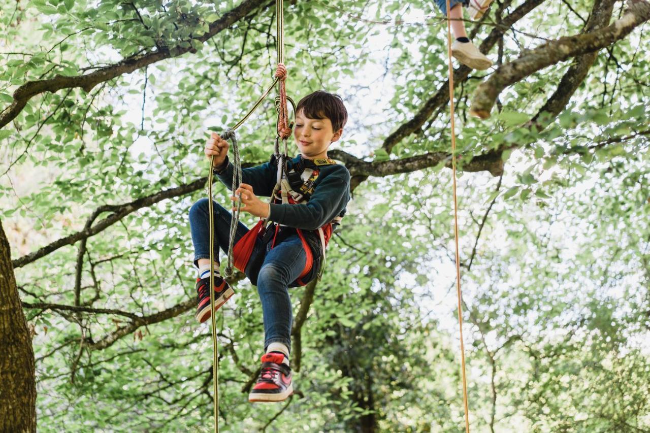 Cocoon Village - Glamping - Domaine Des Grottes De Han Rochefort Zewnętrze zdjęcie