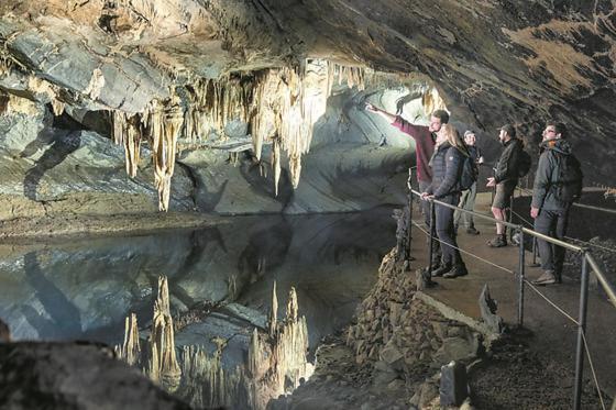Cocoon Village - Glamping - Domaine Des Grottes De Han Rochefort Zewnętrze zdjęcie