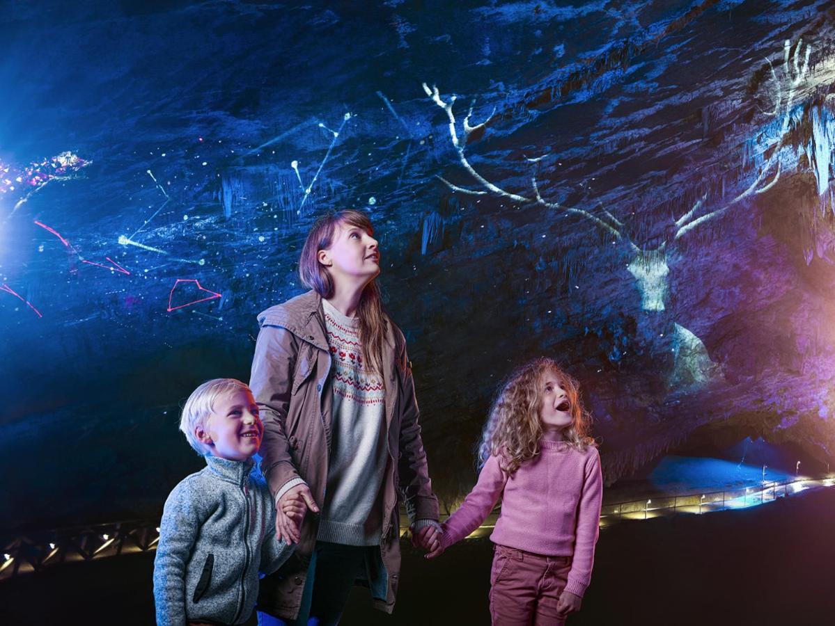 Cocoon Village - Glamping - Domaine Des Grottes De Han Rochefort Zewnętrze zdjęcie