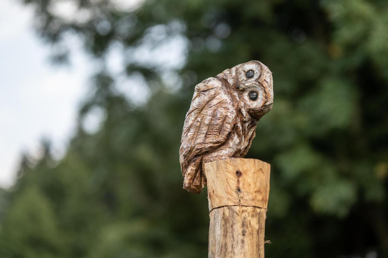Cocoon Village - Glamping - Domaine Des Grottes De Han Rochefort Zewnętrze zdjęcie
